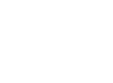 Fiesta Cerca